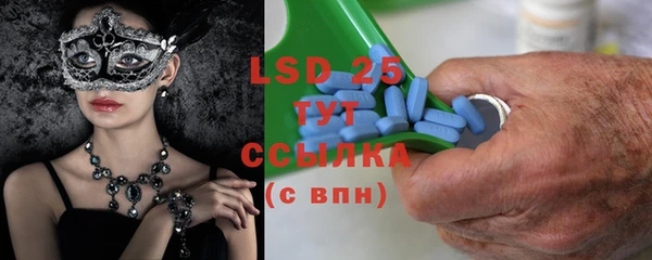 индика Нея