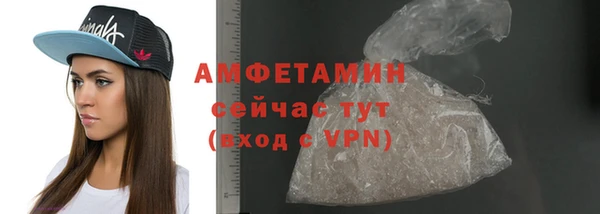индика Нея