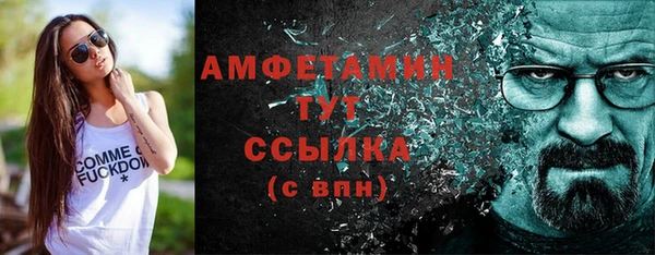 индика Нея