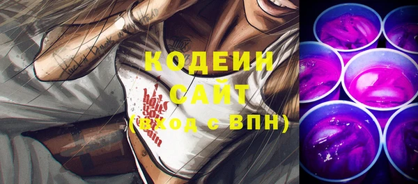 индика Нея