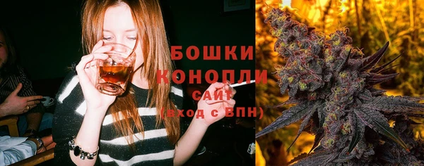индика Нея