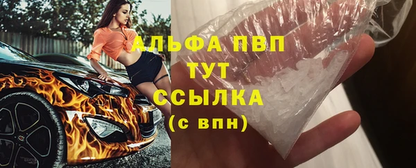 индика Нея