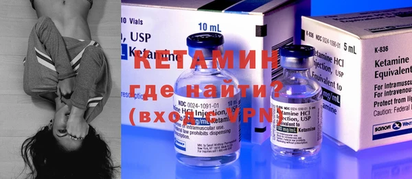 индика Нея