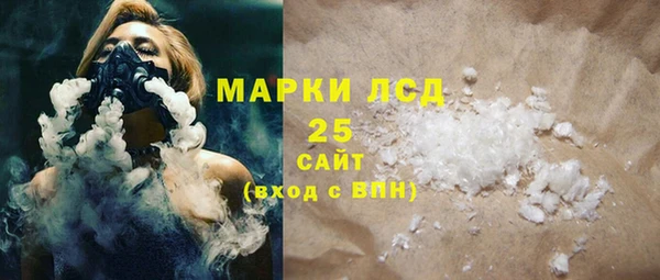 индика Нея