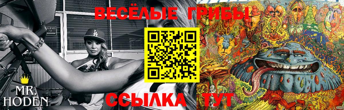 Псилоцибиновые грибы прущие грибы  Вход с VPN  Слободской 